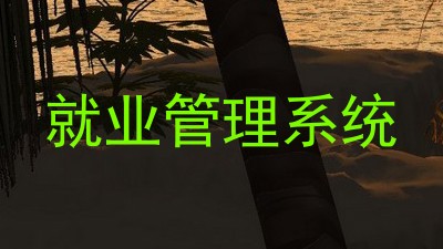 就业管理系统