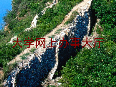 大学网上办事大厅