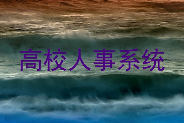 高校人事系统