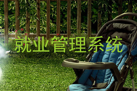 就业管理系统