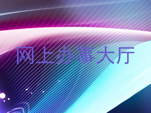 网上办事大厅