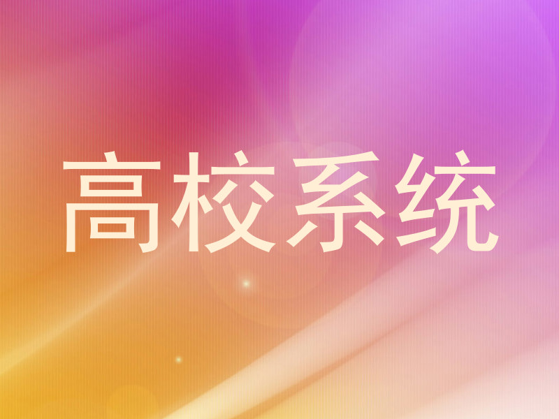 高校系统