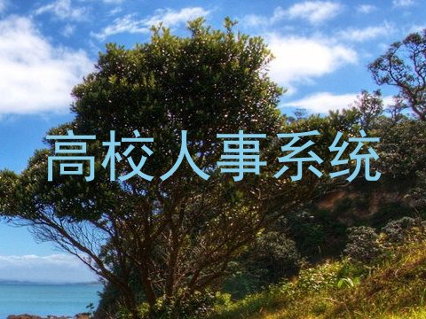 高校人事系统