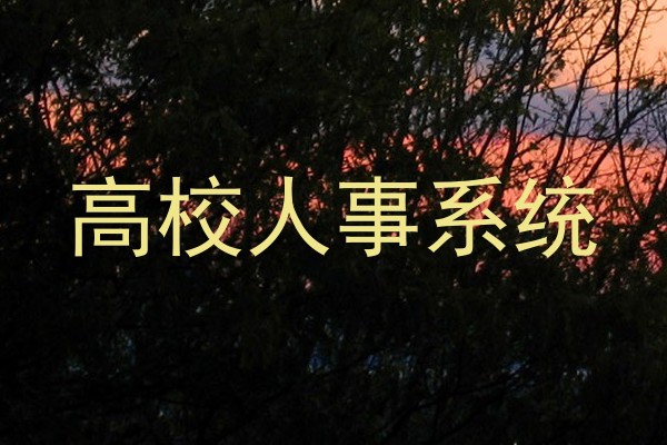 高校人事系统