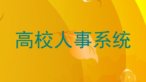 高校人事系统