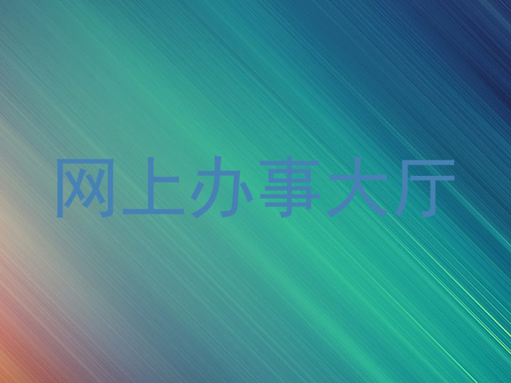 网上办事大厅