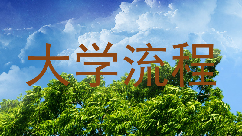 大学流程