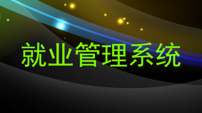 就业管理系统