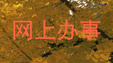 网上办事