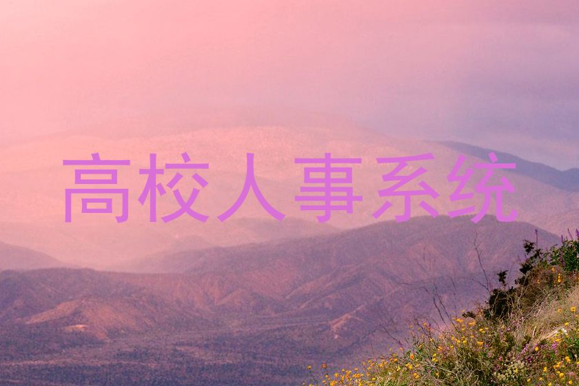 高校人事系统