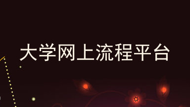 大学网上流程平台