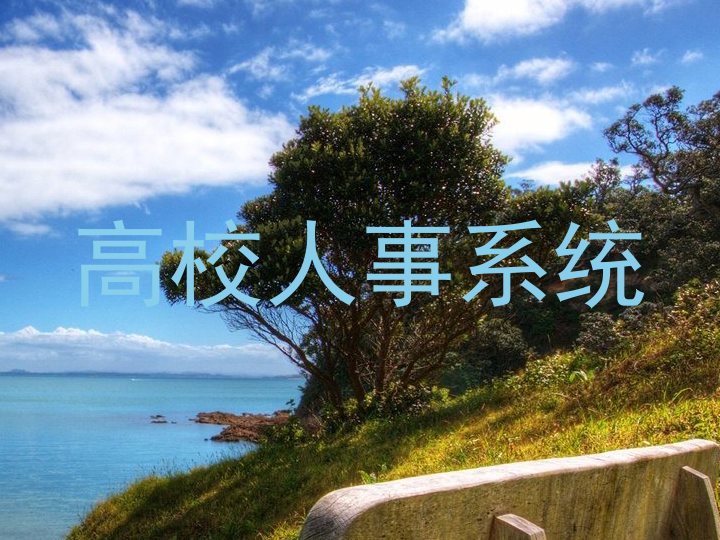 高校人事系统
