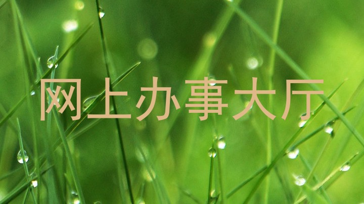 网上办事大厅