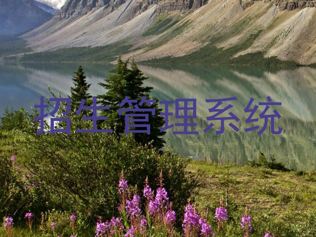 招生管理系统