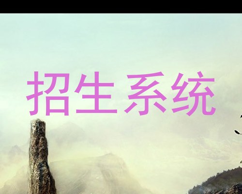 招生系统