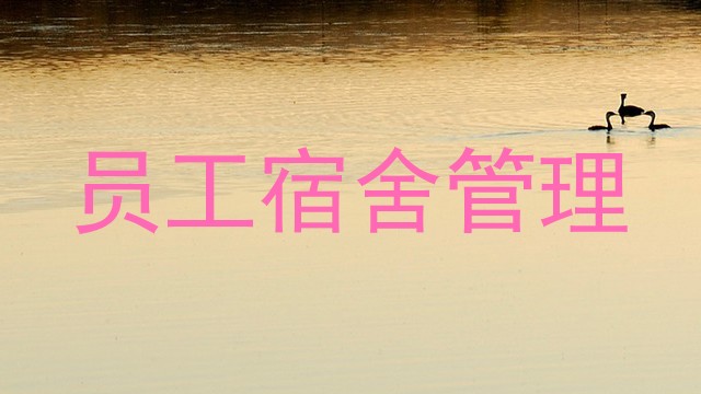 员工宿舍管理