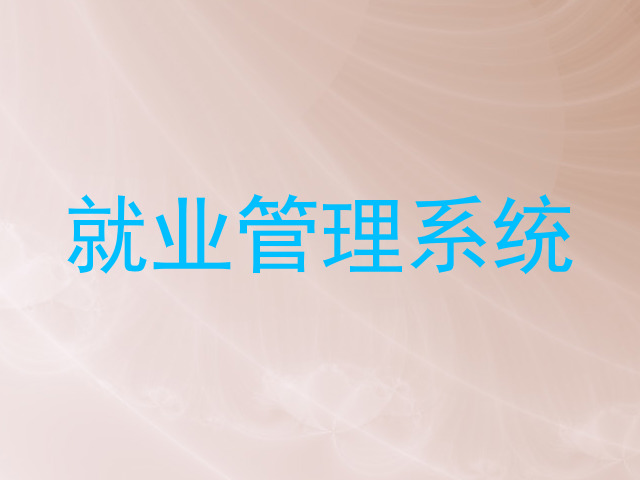 就业管理系统