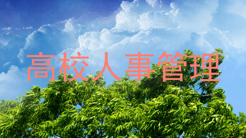 高校人事管理
