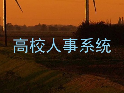 高校人事系统