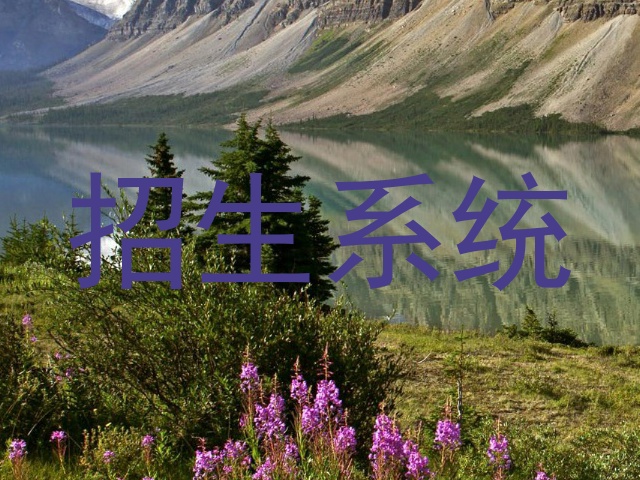 招生系统