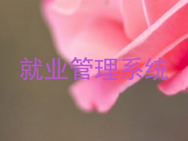 就业管理系统