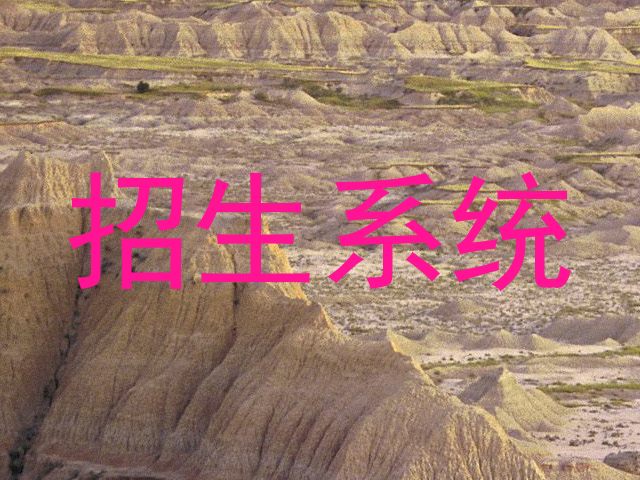 招生系统