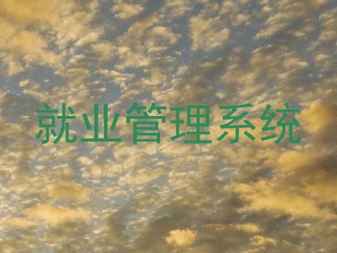 就业管理系统