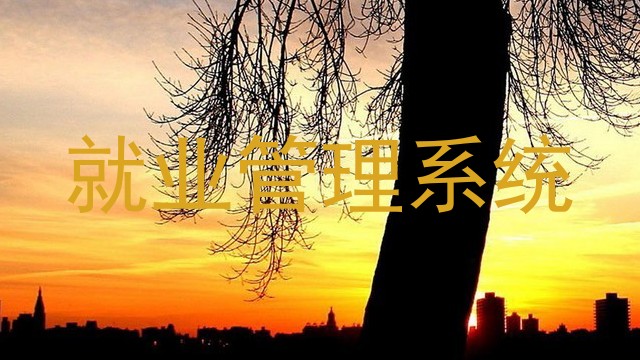 就业管理系统