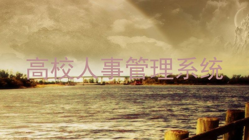 高校人事管理系统