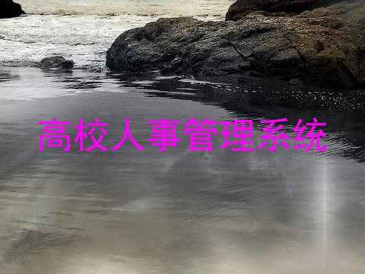 高校人事管理系统