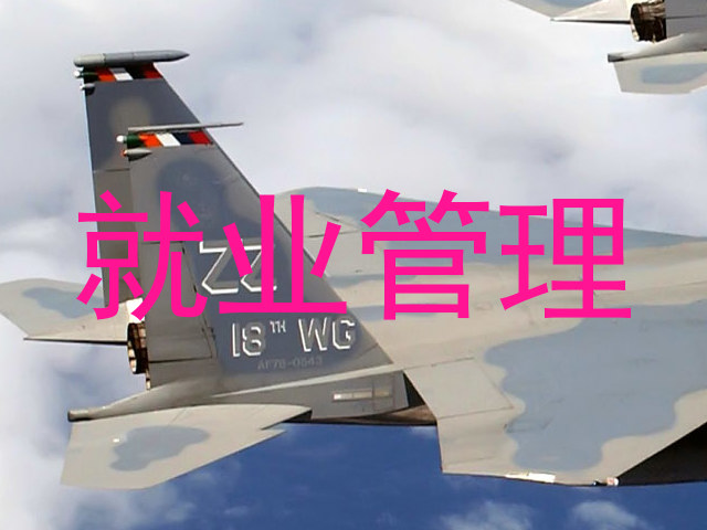 就业管理
