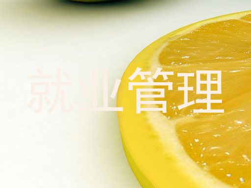 就业管理