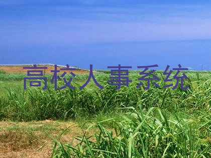 高校人事系统