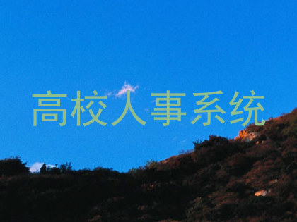 高校人事系统