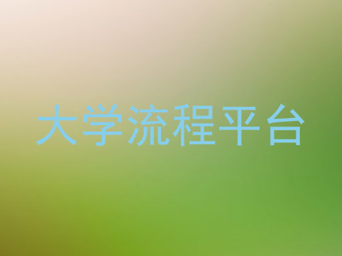 大学流程平台