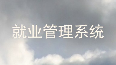 就业管理系统
