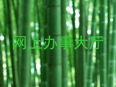 网上办事大厅