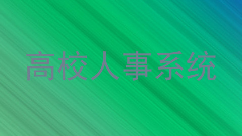 高校人事系统