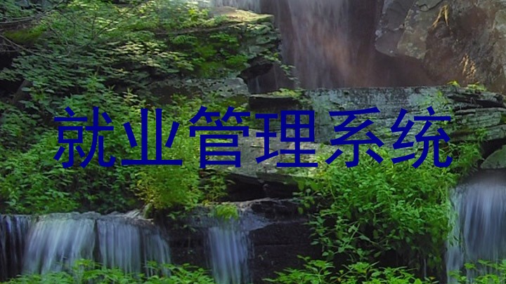 就业管理系统