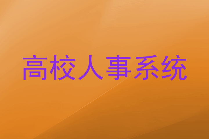 高校人事系统