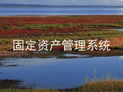 固定资产管理系统
