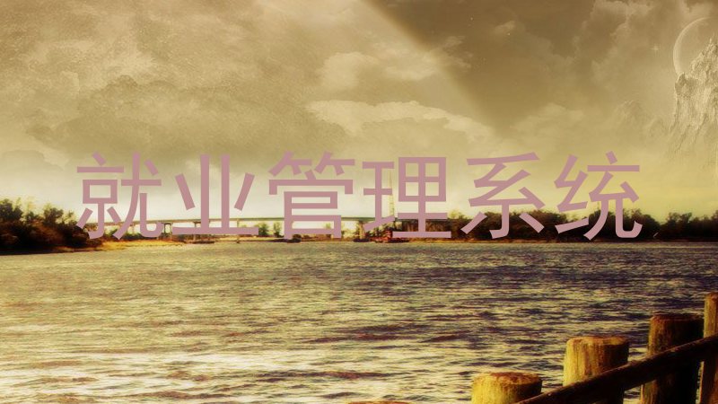 就业管理系统