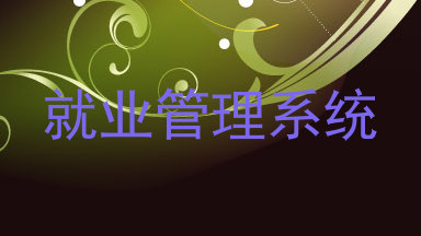 就业管理系统