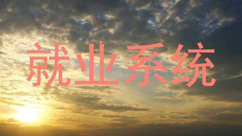 就业系统