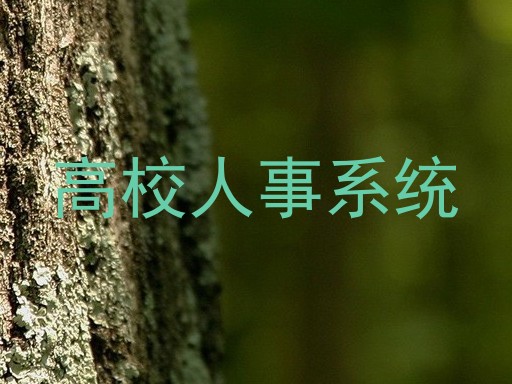 高校人事系统