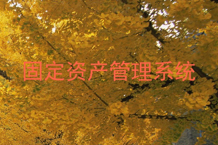 固定资产管理系统