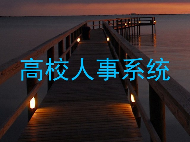 高校人事系统