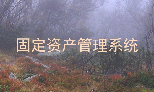 固定资产管理系统