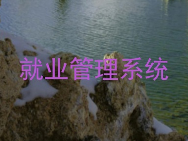 就业管理系统