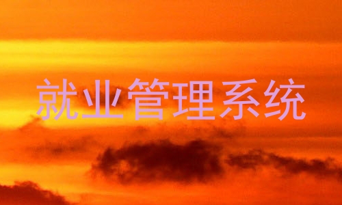 就业管理系统
